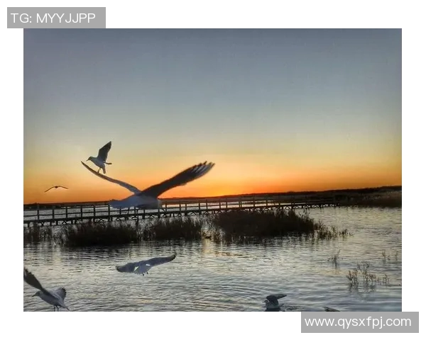 黄坡篮球明星的崛起与奋斗历程揭秘，激励无数年轻球员追逐梦想
